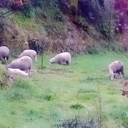 Charming House In With Mountain View * Celorico de Basto