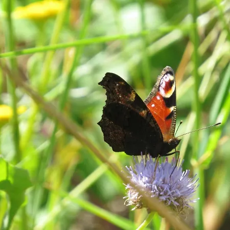Charming House In With Mountain View * 塞洛里库迪巴什图