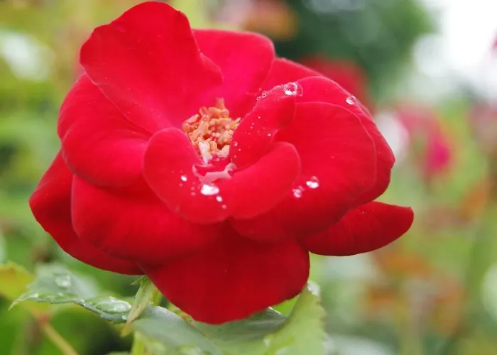 Charming House In With Mountain View Celorico De Basto