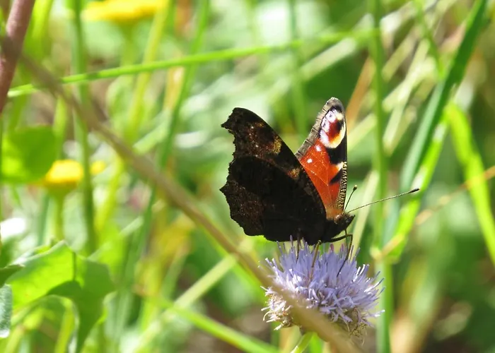 Charming House In With Mountain View * Celorico De Basto
