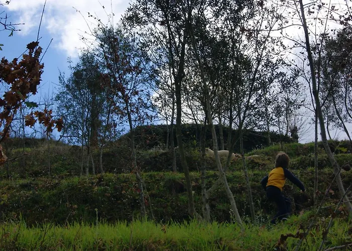 Σπίτι διακοπών Charming House In With Mountain View Celorico De Basto